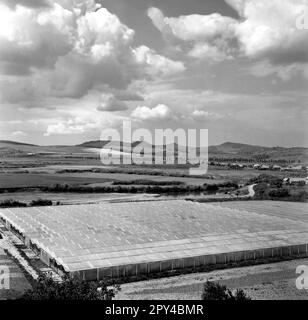 State agricultural cooperative in communist Romania, in the 1970s. Landscape in Transylvania, with view of a large greenhouse. Stock Photo