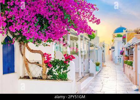 View of Oia street in the mornong, Santorini, Greece Stock Photo