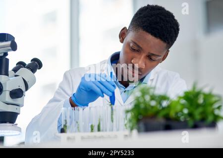 This is the last piece. a focused young male scientist placing tiny plants into vials ready to be experimented on inside of a laboratory during the Stock Photo