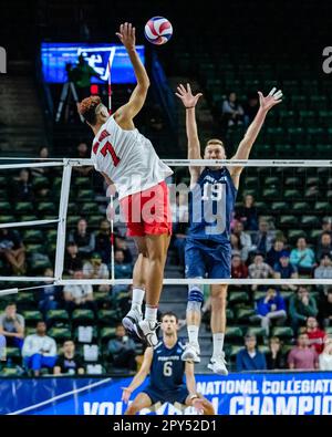 Fairfax, Virginia, USA. 2nd May, 2023. JACOB PASTEUR (7) of The Ohio State University attempts to spike the ball during the quarterfinal match against Penn State University in the 2023 NCAA Men's Volleyball Championship. (Credit Image: © Robert Blakley/ZUMA Press Wire) EDITORIAL USAGE ONLY! Not for Commercial USAGE! Stock Photo