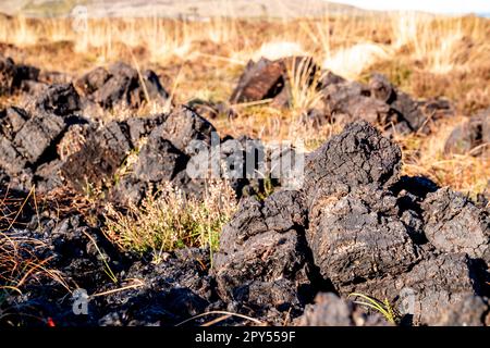 Peat Turf cutting in County Donegal - Ireland. Stock Photo