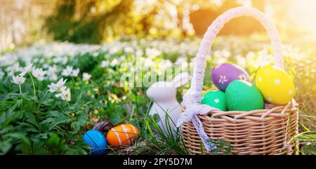 Background of the spring field with rabbit toy and basket with colourful eggs on it. Stock Photo