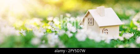 Model of a wooden house standing on the field with blossoming windflower. Stock Photo