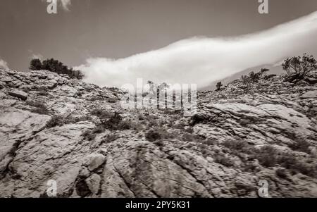 Driving through the landscape in Croatia is fast and blurry. Stock Photo