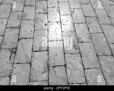 Marble floor on the street, Dubrovnik, Croatia. Antique masonry tiles rectangular blocks. Metamorphic rock composed of calcite CaCO3. Polished tiles glisten in the sun. Black and white monochrome. Stock Photo