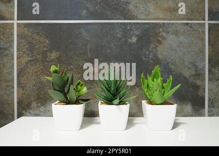 Bathroom design elements. Interior with black wall tiles. Three green artificial bonsai plants in white small pots on a cabinet shelf. Stock Photo