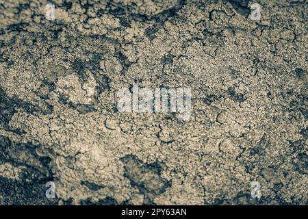 Stone rock texture with green moss and lichen in Brazil. Stock Photo