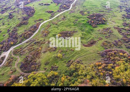 Aerial view flock of sheep Stock Photo