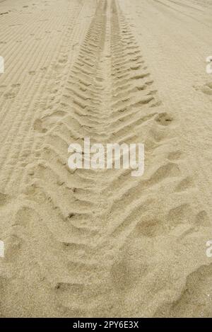 Wheel tracks on the beach Stock Photo
