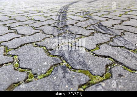 Old cobblestones with moss Stock Photo