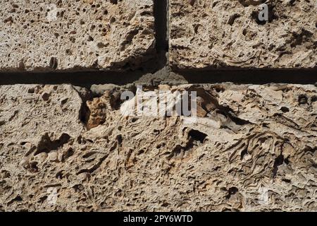 Textured wall lined with beige shell rock tiles. Close-up of a wall made of ancient shell rock. Holes, irregularities of natural building material. Church wall in Banja Koviljaca, Serbia Stock Photo