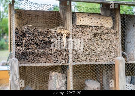 Close-up apiary bee home bee hotel, insect hotel agricultural environmental Protection made of wood at a farm Stock Photo