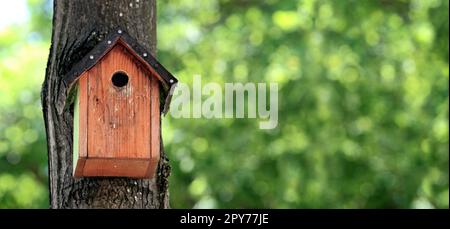 Homemade bird nesting box hangs on a tree. Panoramic image with bokeh background. Stock Photo