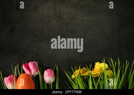 Easter eggs on fresh green grass against grey concrete background, colorful pink tulips and yellow daisies. Happy Easter holiday concept with copy space top view design Stock Photo