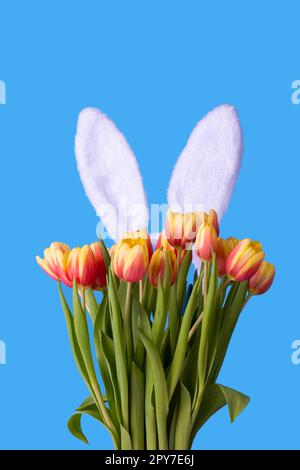 Easter greeting card with beautiful bouquet of tulips and decorative rabbit ears on blue background Stock Photo