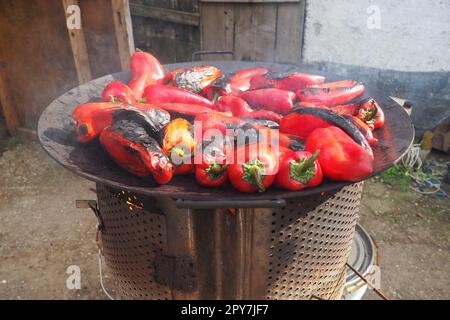 Roasting red peppers for a smoky flavor and quick peeling. Thermal processing of the pepper crop on a metal circle. Brazier container used to burn charcoal fuel for cooking, heating or cultural ritual Stock Photo