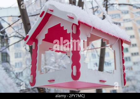 Red bird feeder hanging on a tree covered with snow in the city in winter Stock Photo