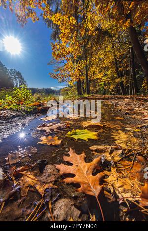 Typical autumn landscape in Trebonsko region near Trebon city in Southern Bohemia, Czech Republic Stock Photo