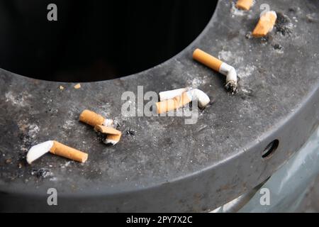 rim cigarette stubbed out cigarette butts on the rim of a rubbish bin Stock Photo