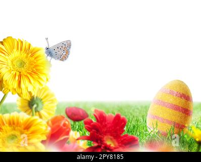 Easter decorations with eggs and flowers on a fresh green field Stock Photo