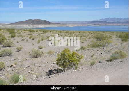 Low water levels due to drought at Lake Mead in Nevada, USA. Stock Photo