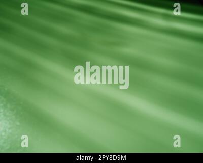 Abstract green background. Oblique light rays on a gray background with flickering dot. From left to top, the lines are directed down and to the right. Glow, flare or shine. Side lighting. Small glow Stock Photo