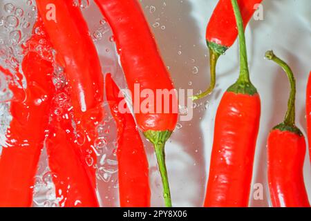 Close-up of red chilli peppers on white background. Chilli peppers in sparkling water on white background, close-up. Horizontal image Stock Photo