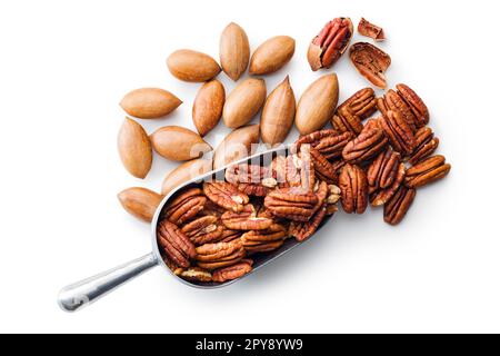 Peeled pecan nuts in scoop isolated on white background. Stock Photo