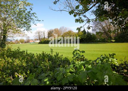 rbai royal belfast academical institution sportsground malone south belfast northern ireland uk Stock Photo