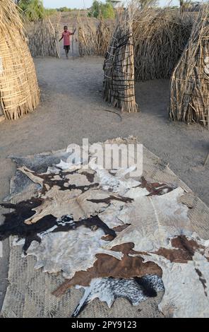 KENYA, Turkana, village Nariokotome, Turkana tribe, shepherd hamlet, goat fur drying in the sun, they are used as sleeping pad Stock Photo