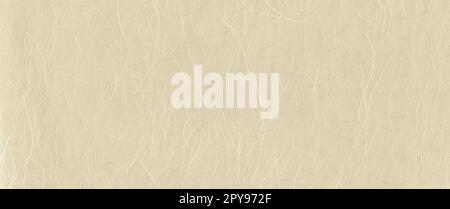 Natural japanese recycled paper texture. Banner background Stock Photo