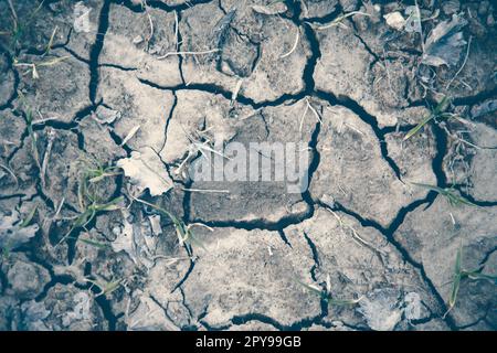 Cracked earth on dray season Stock Photo