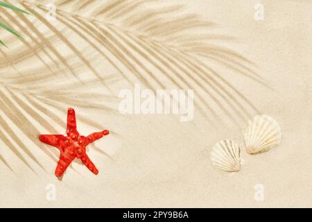 White beach sand with shadow of palm leaf, red starfish and seashells. Travel and vacations concept background. Top view, flat lay Stock Photo