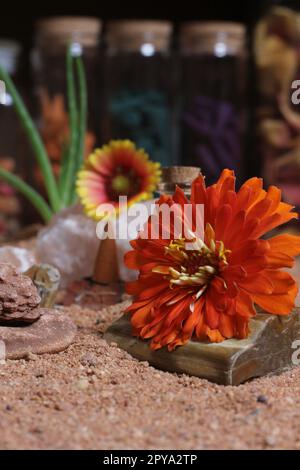 Desert Rose Rocks With Quartz Crystals on Australian Red Sand Stock Photo