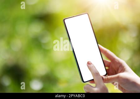 Closeup view of the woman's hands holding smartphone. Stock Photo