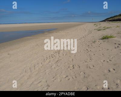 the island of Spiekeroog in the north sea Stock Photo