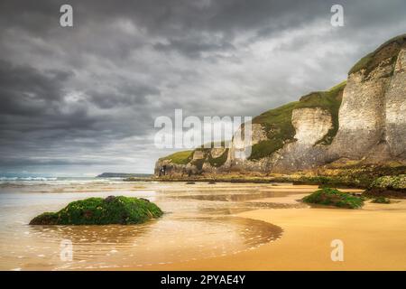 Rocks covered in seaweed and limestone rock formations on White Rocks Beach, Northern Ireland Stock Photo