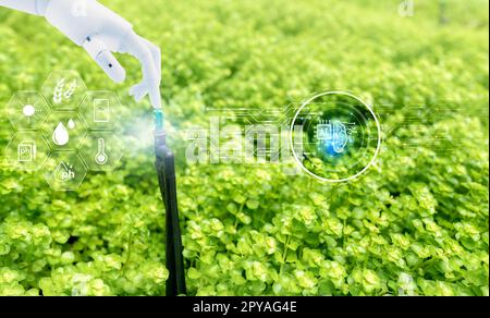 Robot hand touch automatic lawn sprinkler and icon of smart farming concept. Smart agriculture with modern technology concept. Sustainable agriculture. Precision agriculture. Climate monitoring. Stock Photo