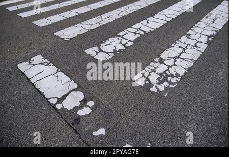 Zebra crossing on the asphalt Stock Photo