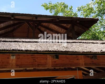 Reed roof on a modern wooden building. The roof is made from environmentally friendly natural materials, such as reeds or straw. Reed fire hazard coating Stock Photo