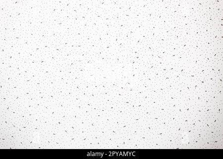 Gray wall with dark texture. Background. Banner. Texture. High quality photo Stock Photo