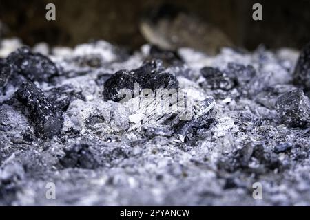 Extinguished coal in the ember Stock Photo
