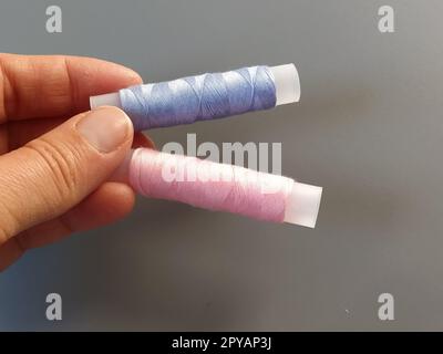 Spools of pink and blue thread on a woman's hand. Textile industry. Gray background Stock Photo