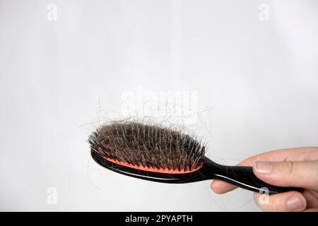 Hair loss problem, postpartum period, menstrual or endocrine disorder, hormonal disbalance, stress concept. Many hair fall after combing in hairbrush.Female untangles her hair with a comb, copy space Stock Photo