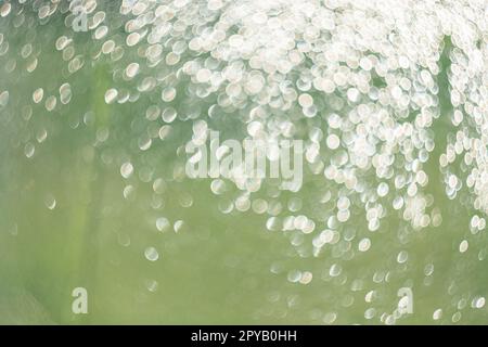 Creative background image, light transparent drops of water in blur. Blurred bokeh on light background.