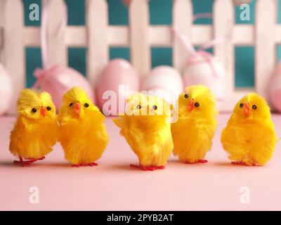 Five cute chicks with Easter eggs background Stock Photo