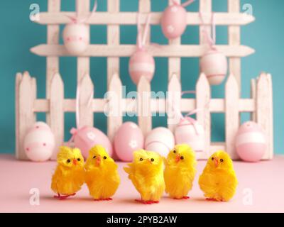 Five cute chicks with Easter eggs background Stock Photo
