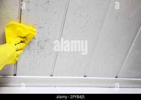 Female person hand with sponge scrubbing vehicle with foam, car