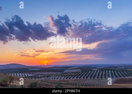 typical Andalusian landscape during sunset, Spain Stock Photo