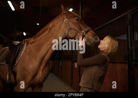 Happy woman laughing while horse kissing her in stable of riding club Stock Photo